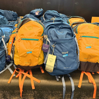 yellow-blue-bag