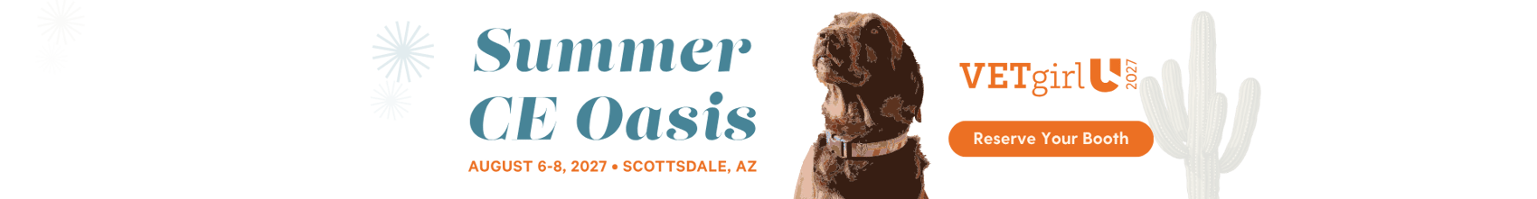 Summer CE Oasis Banner