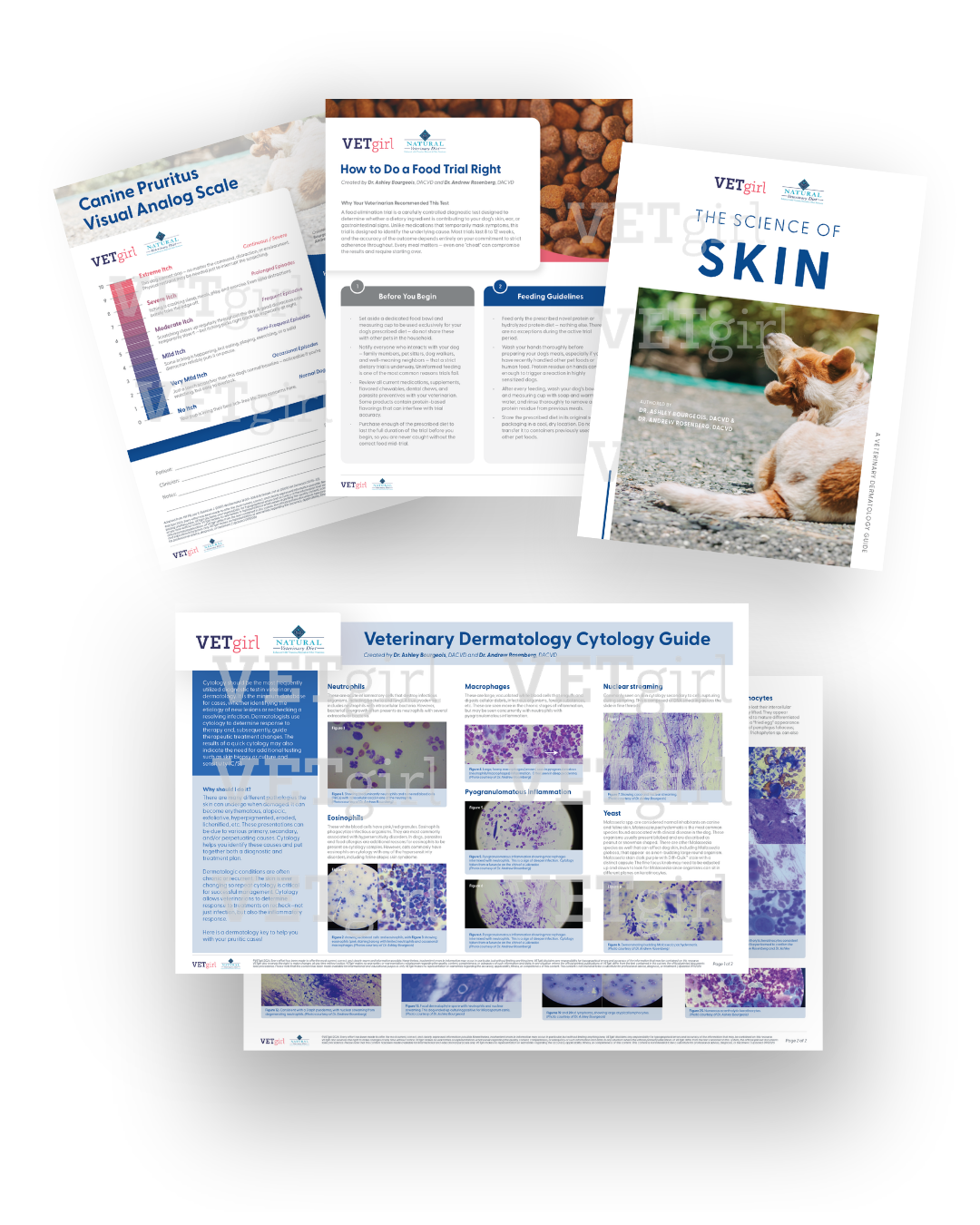 BB Derm Toolkit Mockup Images + Social Post - 2026