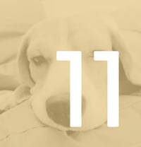 11