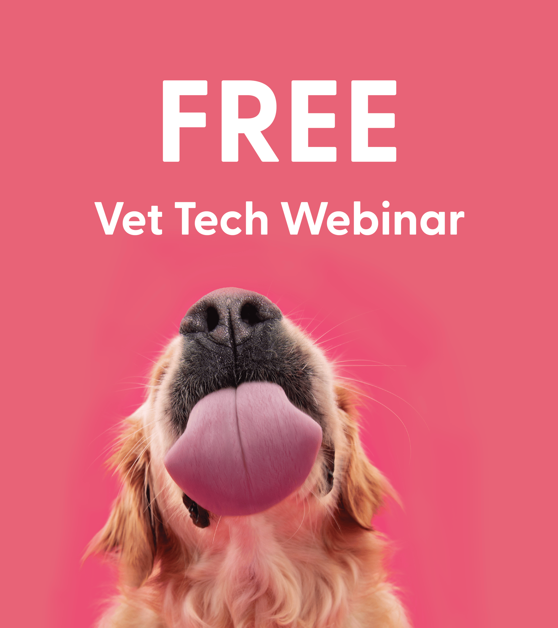 Vet Tech Landing Page Graphics - 09252024