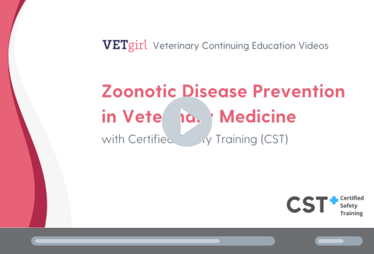 CST Video Covers - landing page graphics (1)