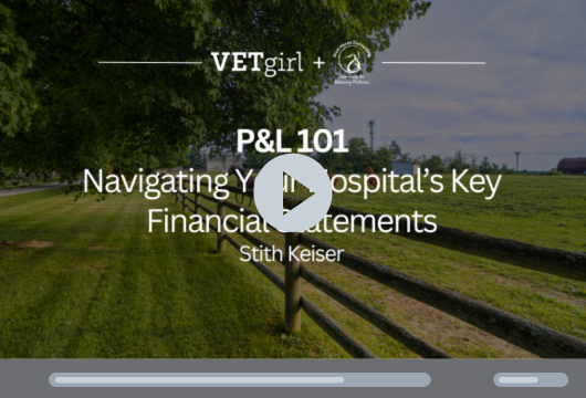 P&L 101