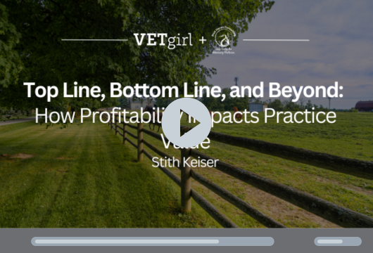 Top Line, Bottom Line & Beyond