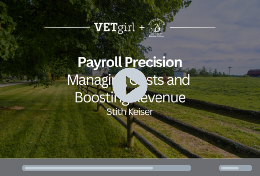 Payroll Precision