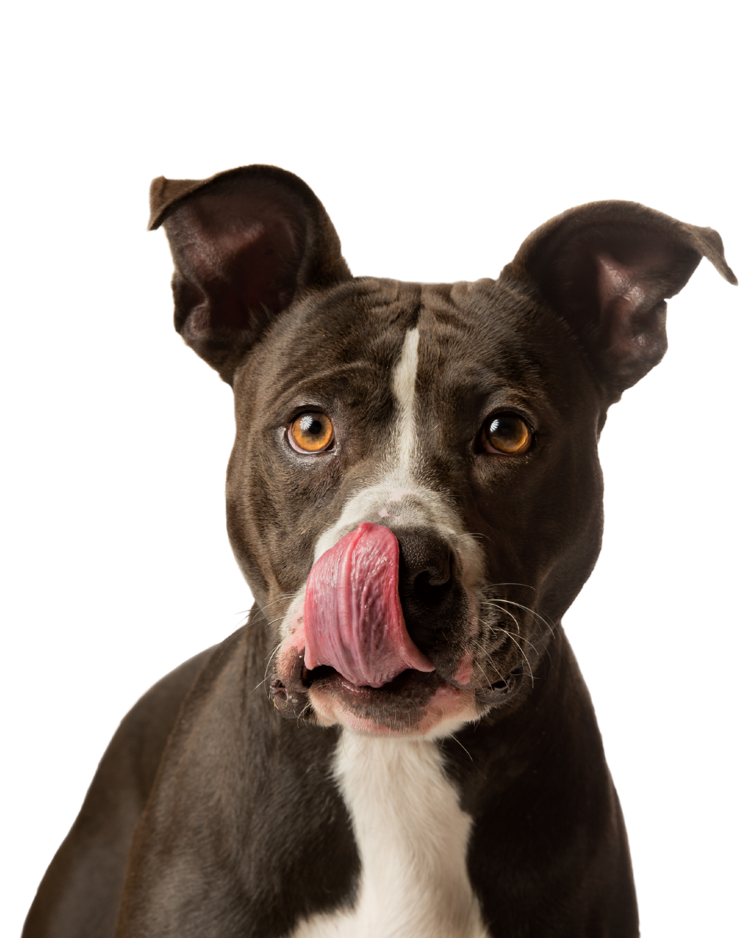 August 2025 Social Media Posts August 2025 Social Media Posts