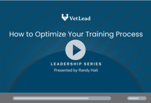 How to Optimize Your Training Process