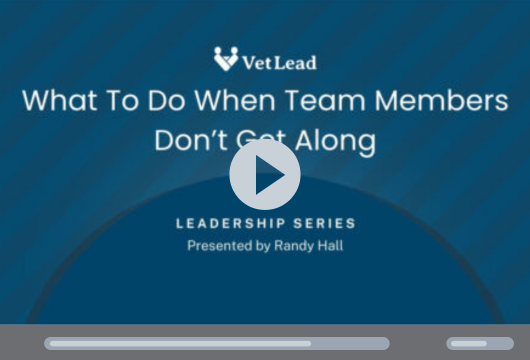 What to do when team members don't get along
