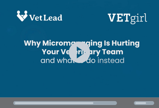 VetLead Landing